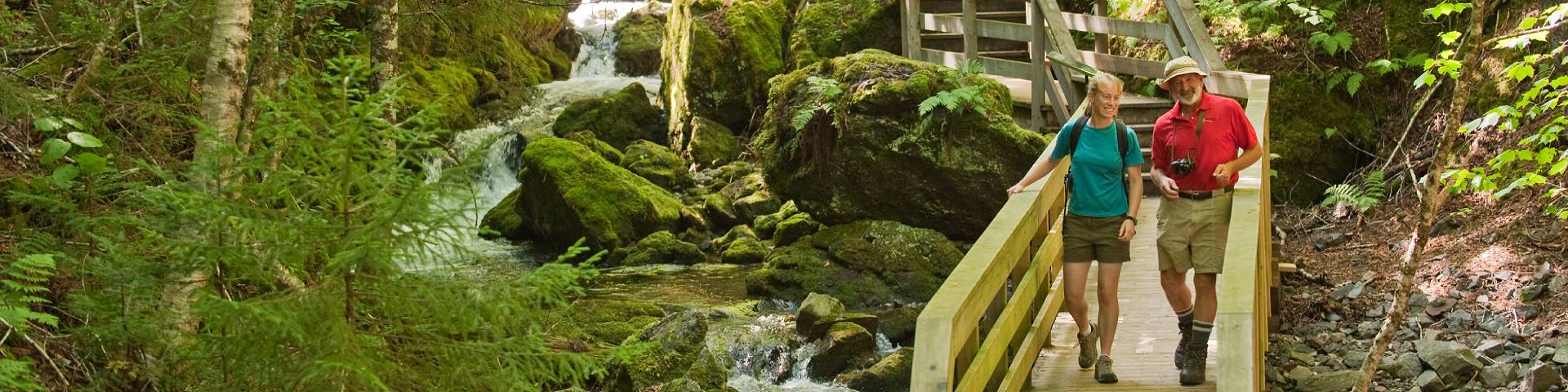 People on the stairs of the Dickson Falls trail