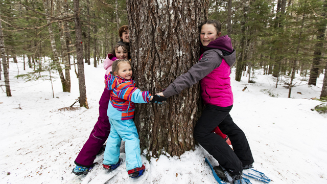 A group of kids holding hands around a large tree