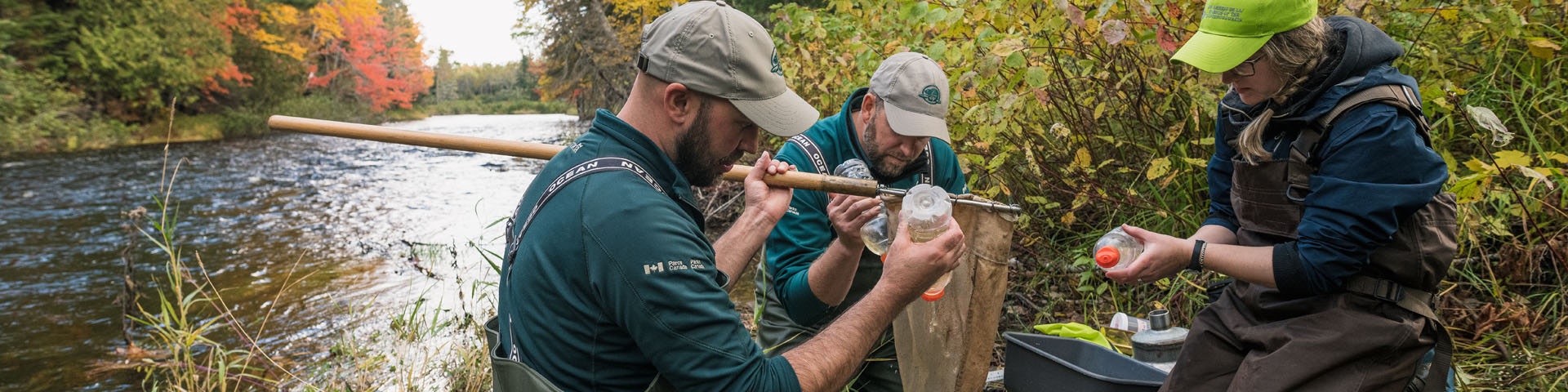 Des agents de conservation font des tests près d'une rivière