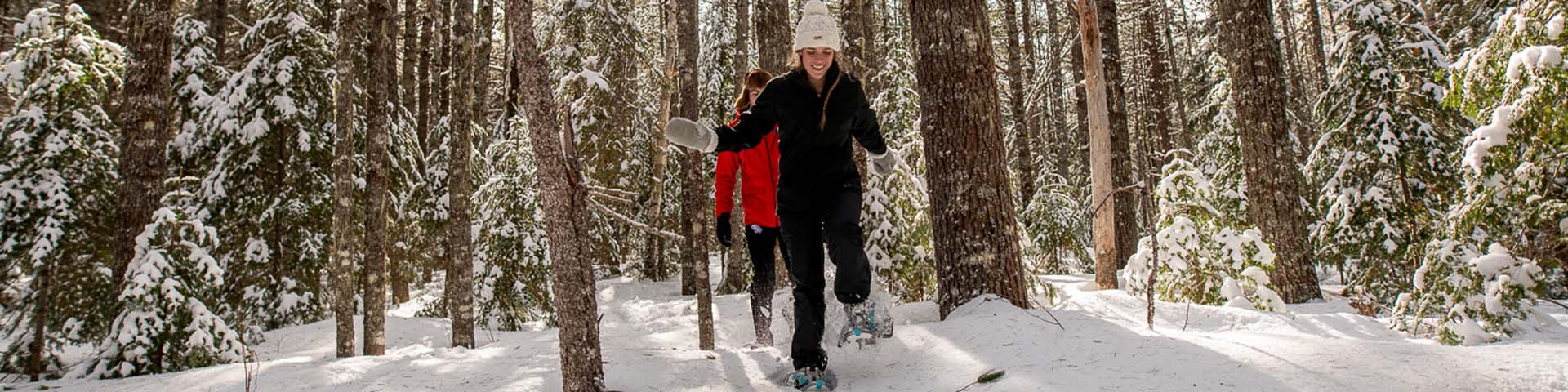 Visitors snowshoeing in the forest