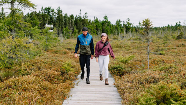 Visitors walking on a boardwalk in a bog