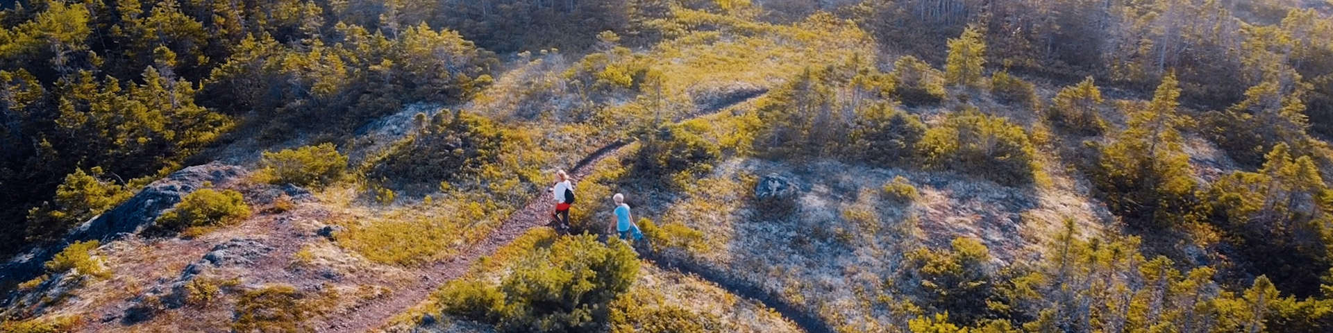 an aerial view of two people hiking on a path