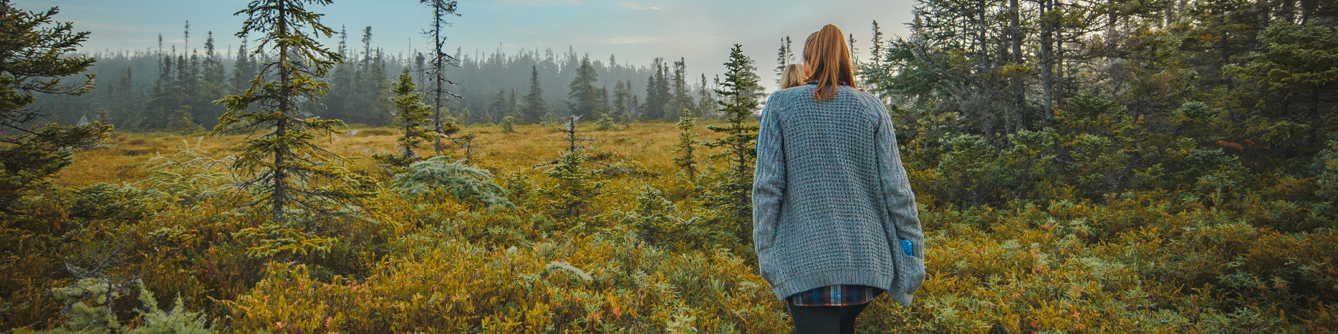 a person walking through waist-high bushes