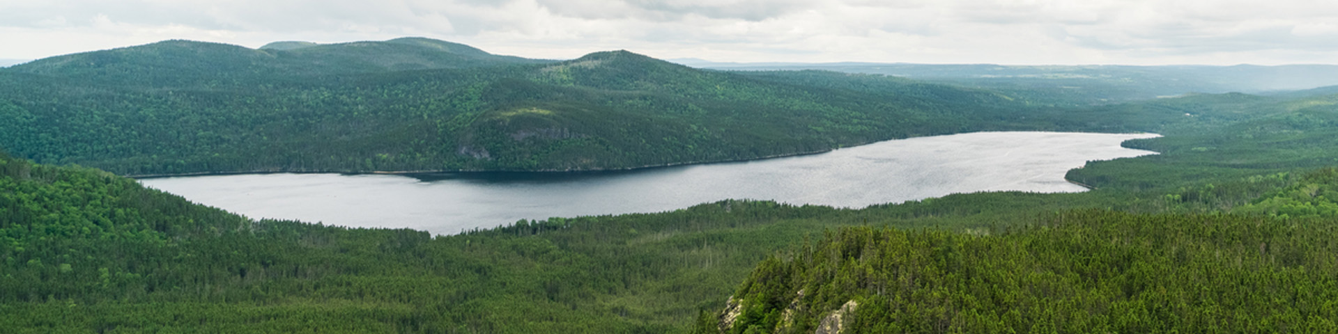 aerial view of a forested, ocean inlet 