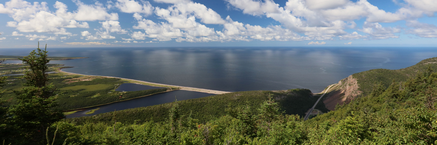 Acadian