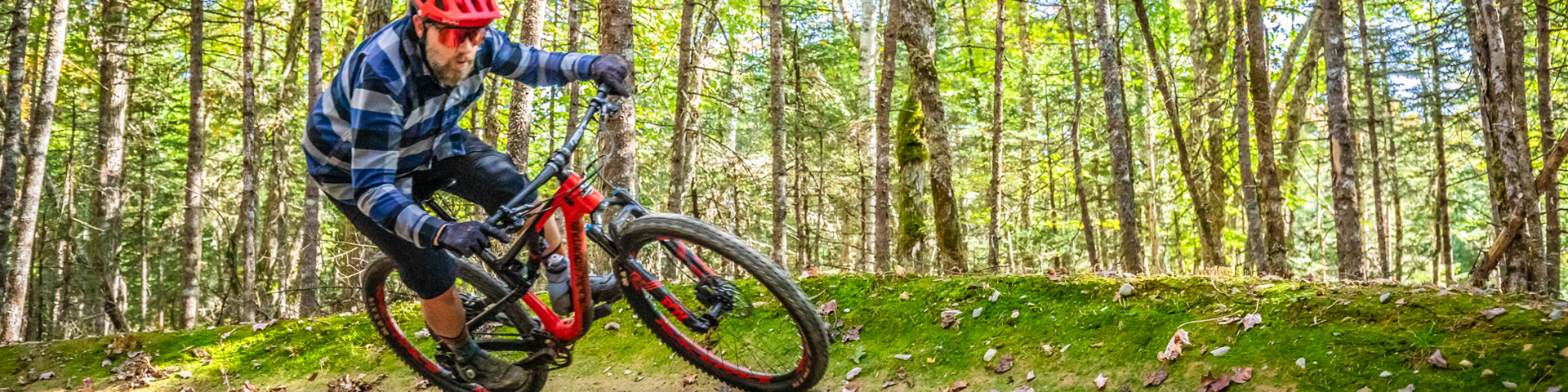 A cyclist riding over a hill in the forest.