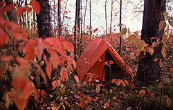 Tent in the forest