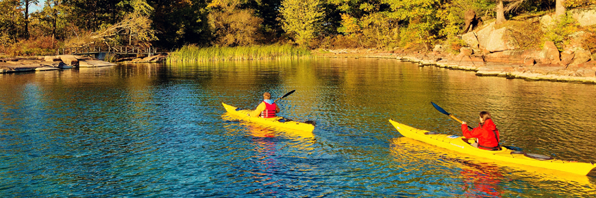 Two people kayak along the shoreline. 