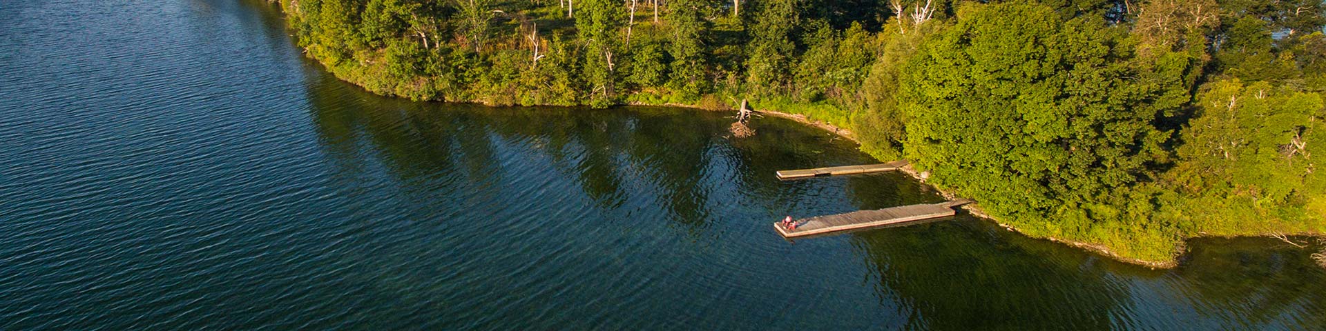 View of a dock from the air.