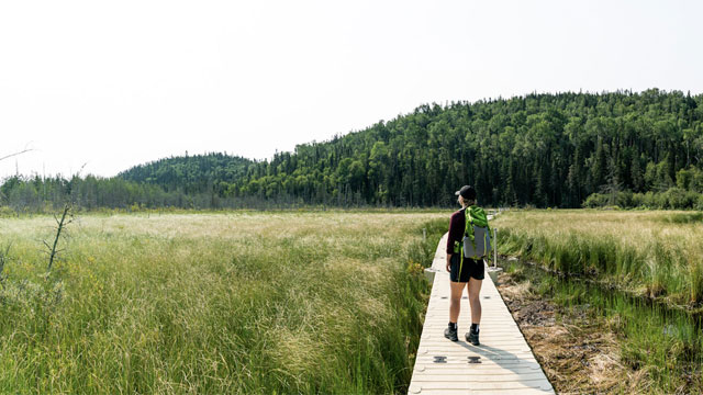 A hiker on the boardwalk.