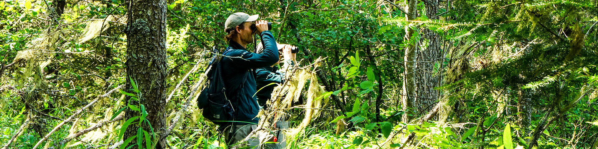 Staff in the field doing research.