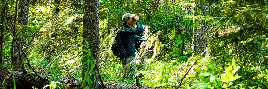 Two people with binoculars in the forest.