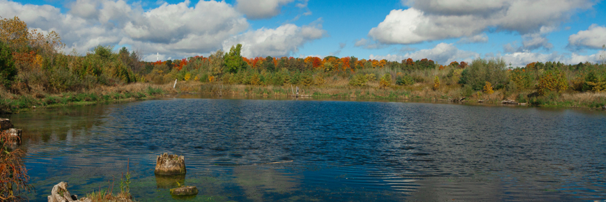 Wetland and stream restoration