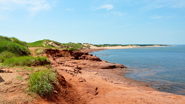 Coastline at Cavendish beach