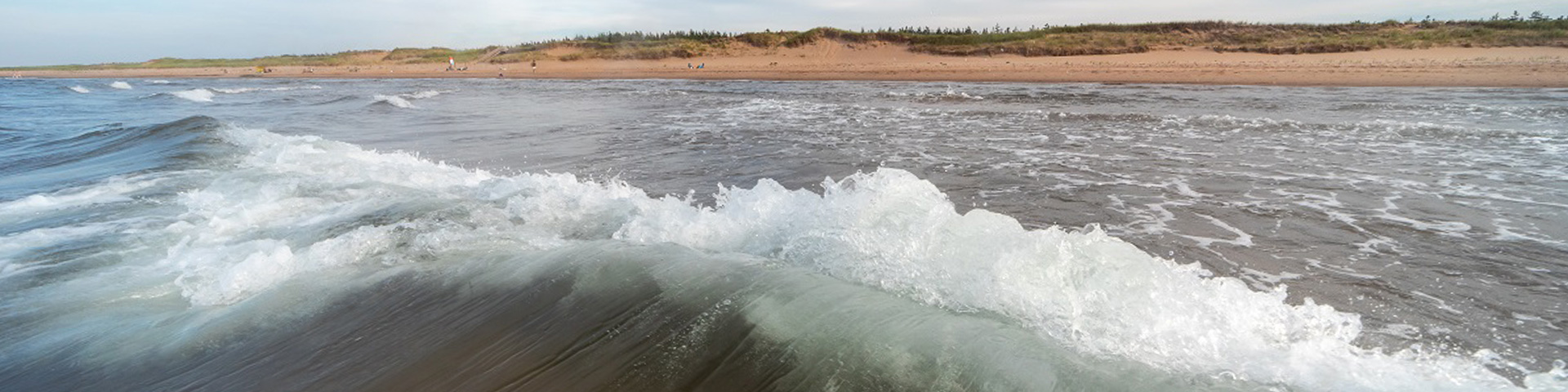 Waves on the beach