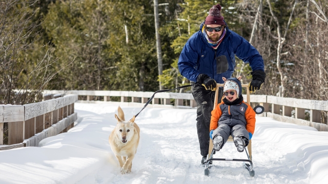 On a snowy trail, a man pushes a smiling toddler sitting in a kick sled with a dog running next to them.  