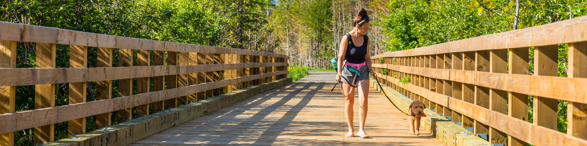 A hiker and her dog on a leash cross a wooden bridge. 