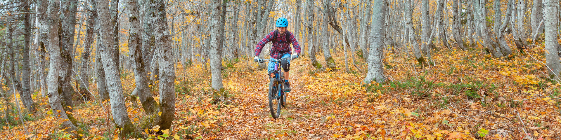 Two cyclists take a break to observe the fall landscape