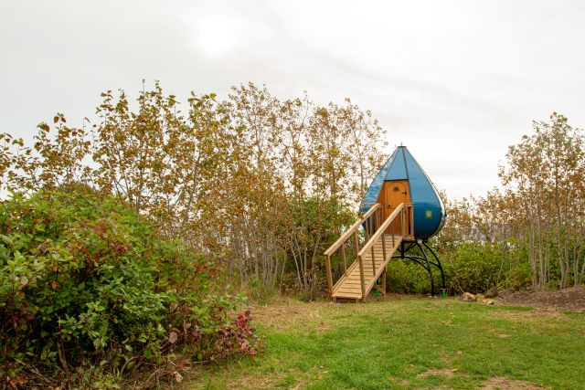 Oasis campsite surrounded by trees and bushes