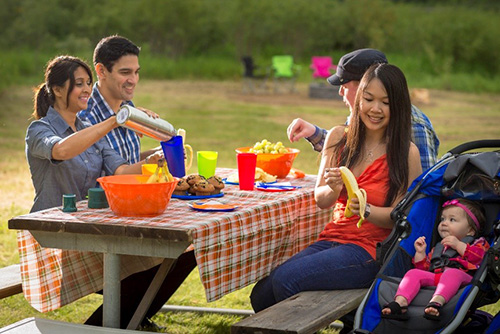 A young family having a picnic