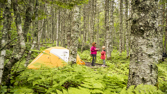 A woman with her daugther camping in the woods