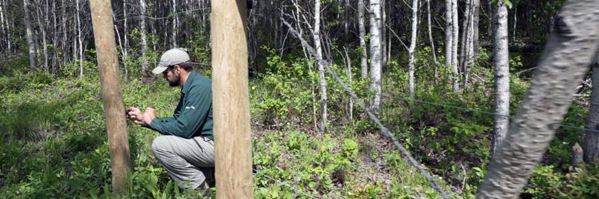 Parks Canada employee building fencing