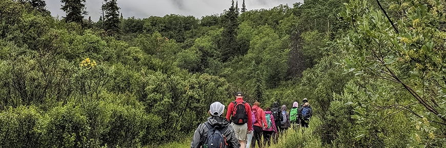 Hikers in a line in a forest with mountains in the background