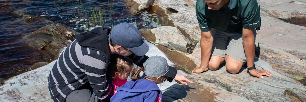 Un guide et des visiteurs regardent des pétroglyphes sur la rive d’un lac au parc national et lieu historique national Kejimkujik.