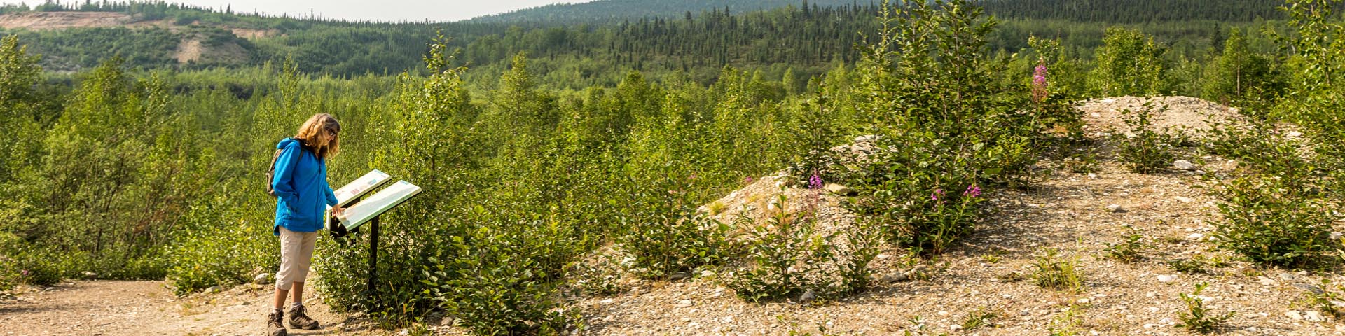 Visiteurs aux abords du sentier de la découverte de Dawson